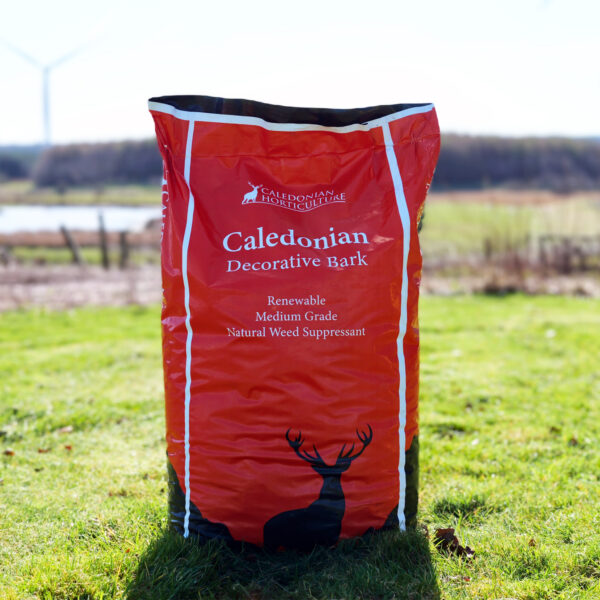 80L Caledonian Decorative Bark - Image 4