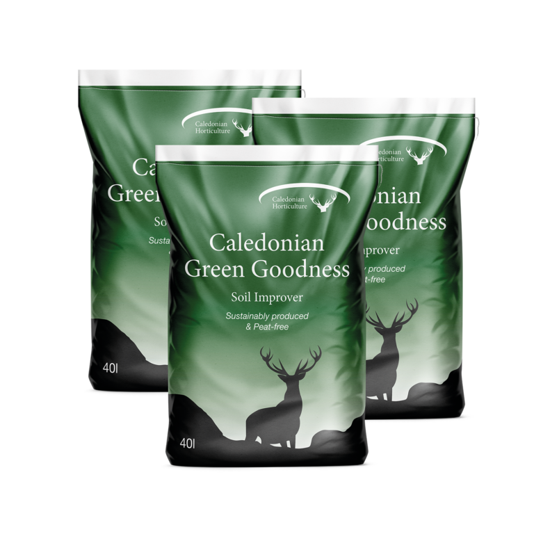 Scottish Borders Green Goodness Collection Pack