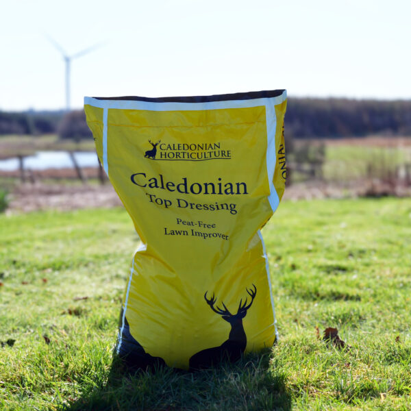 20kg Caledonian Top Dressing - Image 3