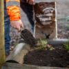 20kg Caledonian Topsoil - Image 3