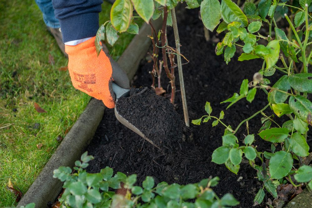 Everything You Need To Know About Mulch and Mulching In - Caledonian Horticulture